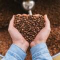 Le differenze tra miscela caffe arabica e robusta
