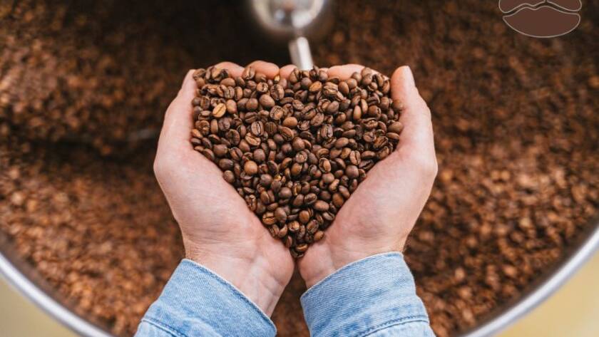 Miscela caffè arabica