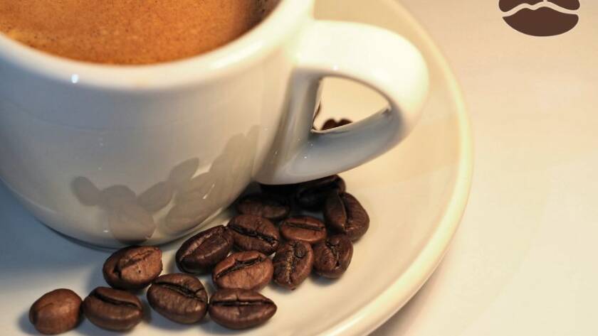 Calorie caffe